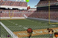 
							All Ball cover