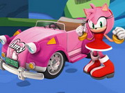 
							Amy Rose Puzzle cover