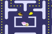 
					
												Baby Pacman