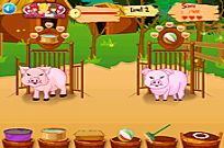 Baby Piggy Care