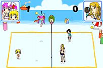 
							Beach Volleyball cover
