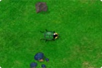 
					
												Beetlewars