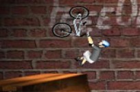 
					
												BMX Ramp