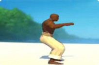 
							Capoeira Fighter cover