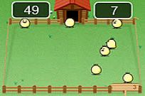 
					
												Catch The Chicks