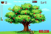 
							Catch The Sweet Apples cover