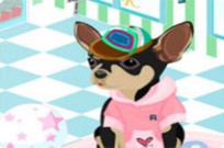 
							Chihuahua Dress Up cover