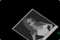 
							Criminal Intent cover