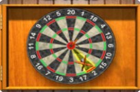 
							Darts cover