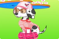 
							Dog Dress Up cover