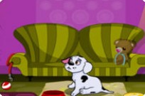 
							Doggy Day Care cover