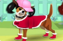 
					
												Dress My Pet