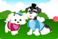 
					
												Dressing Up Two Dogs