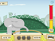 
							Elephant Weightlifting cover