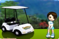 
							Everybodys Golf cover