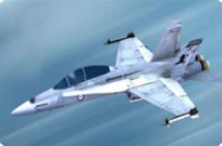 
							F18 Hornet cover