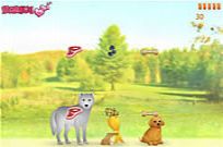 
							Feeding Animals cover