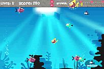 
							Fish For Food cover