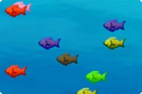 
					
												Fishda