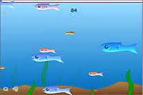 
					
												Fishy