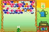 
					
												Flower Power