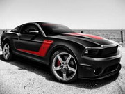 
							Ford Mustang Memory cover