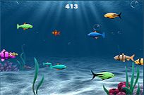 
					
												Franky The Fish