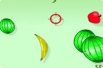 
							Fruit Shoot cover