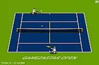 
							Gamezastar Open Tennis cover