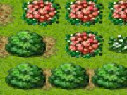 
					
												Gardening 101
