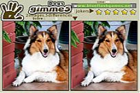 
					
												Gimme 5 Dogs