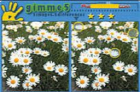 
					
												Gimme 5