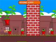 
					
												Go Go Plant
