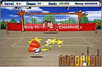 
							Goal Shooting Master cover