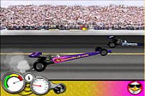 
							Goosehead Racing cover