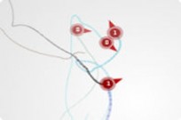 
					
												Gravity Web Toy