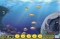 
							Growing Fish cover