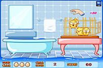 
							Huehnerwasser- Chicken Bath cover