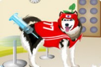 
							Husky Dress Up cover