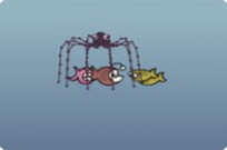 
							Jellyfish cover