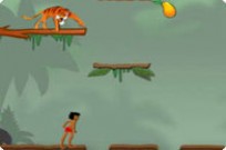 
					
												Jungle Boogie