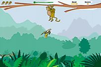 
					
												Koko The Hungry Monkey