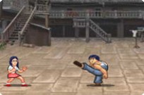 
					
												Kung Fu Fighter