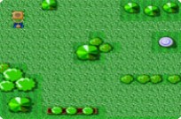 
					
												Lawn Pac