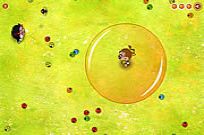 
							Leapin Ladybugs cover