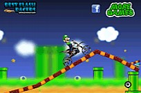 
							Luigi Stunts cover