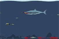 
					
												Mad Shark