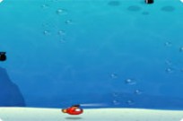 
							Marine Bomb cover