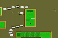 
					
												Mini Putt