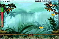 
							Monkey Fruits cover